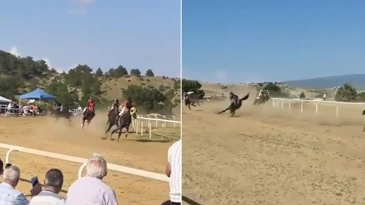 At yarışında feci kaza: Jokey yaralandı, atlar öldü - Manşet Oku
